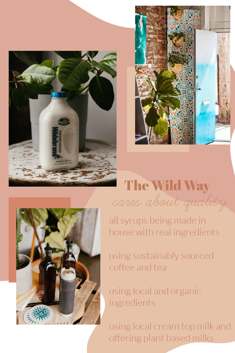 The Wild Way cares about quality of coffee and ingredients 